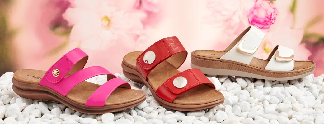 Slides