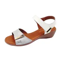 Casini White
